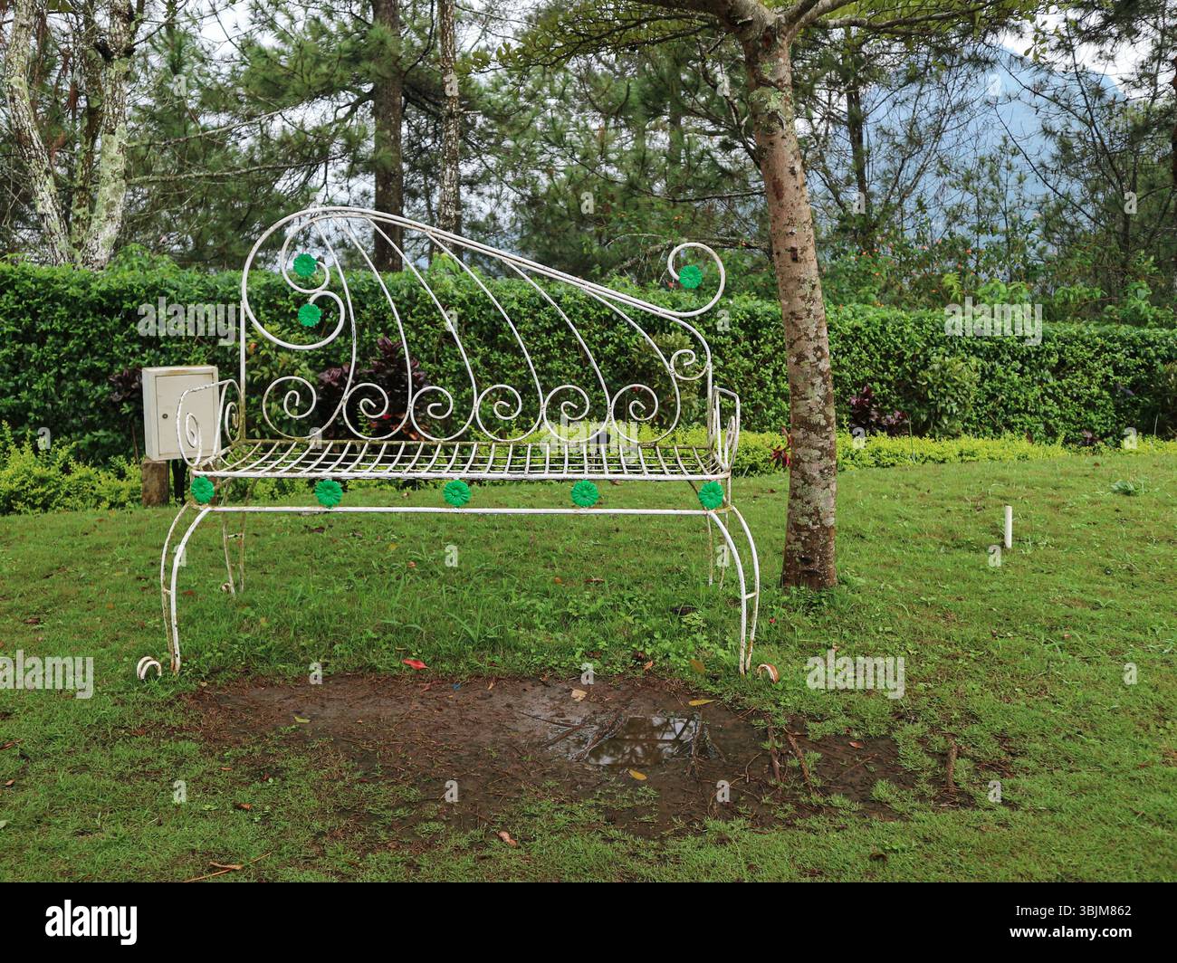 Der Park bietet einzigartige Kunstinstallationen wie Grasfelder, geschmückte Bänke, fahrradförmige Pflanzgefäße und auffällige goldene Feenstatuen. Stockfoto