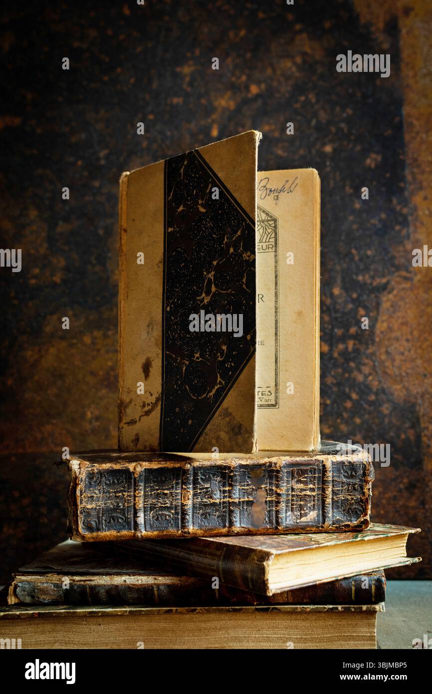 Eine Sammlung von Vintage-Büchern wird auf einem Holztisch ausgestellt, begleitet von einem altmodischen Notizbuch. Stockfoto