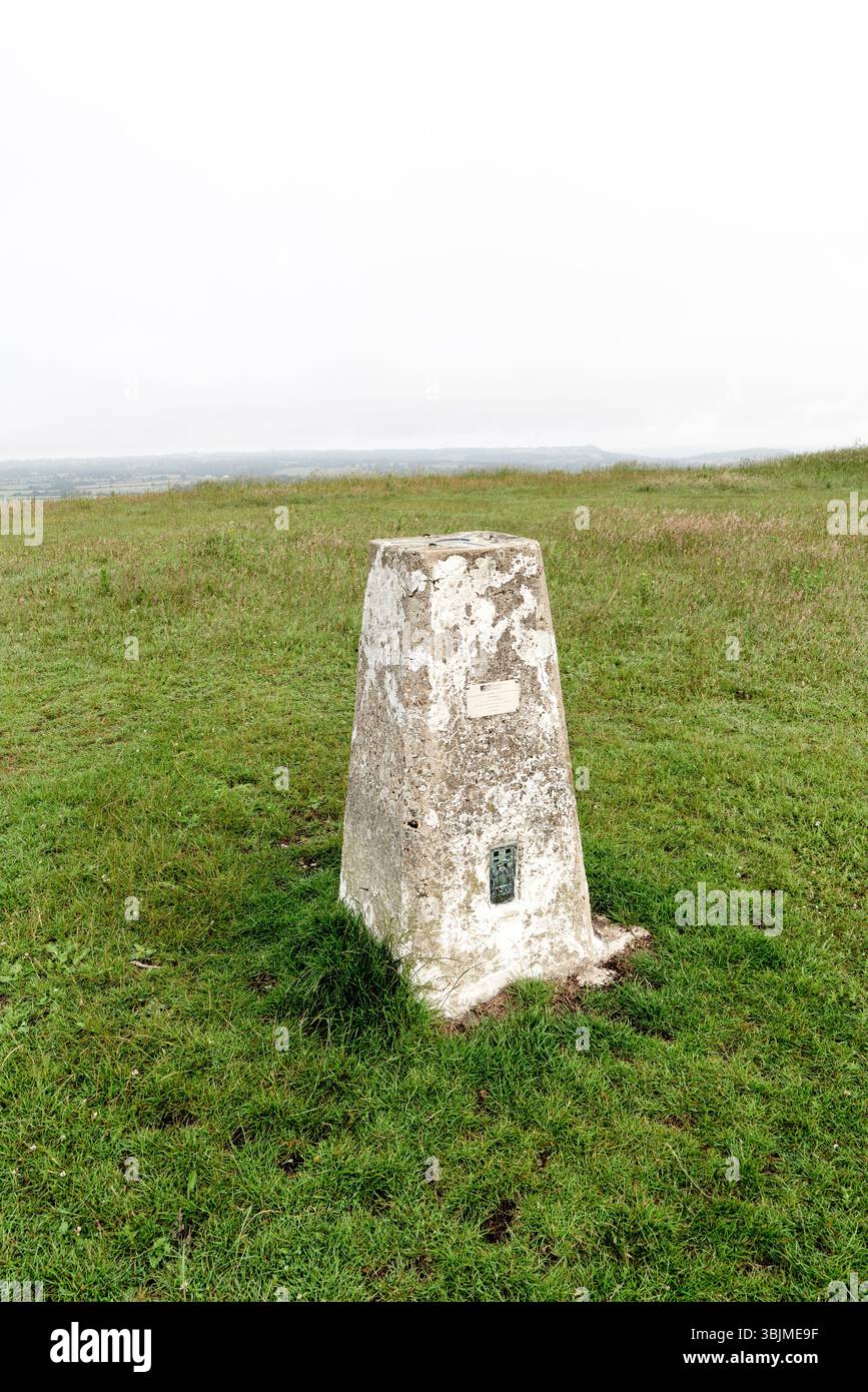 Trigpunkt der Artance Survey bei Win Green bei Shaftesbury, Großbritannien Stockfoto