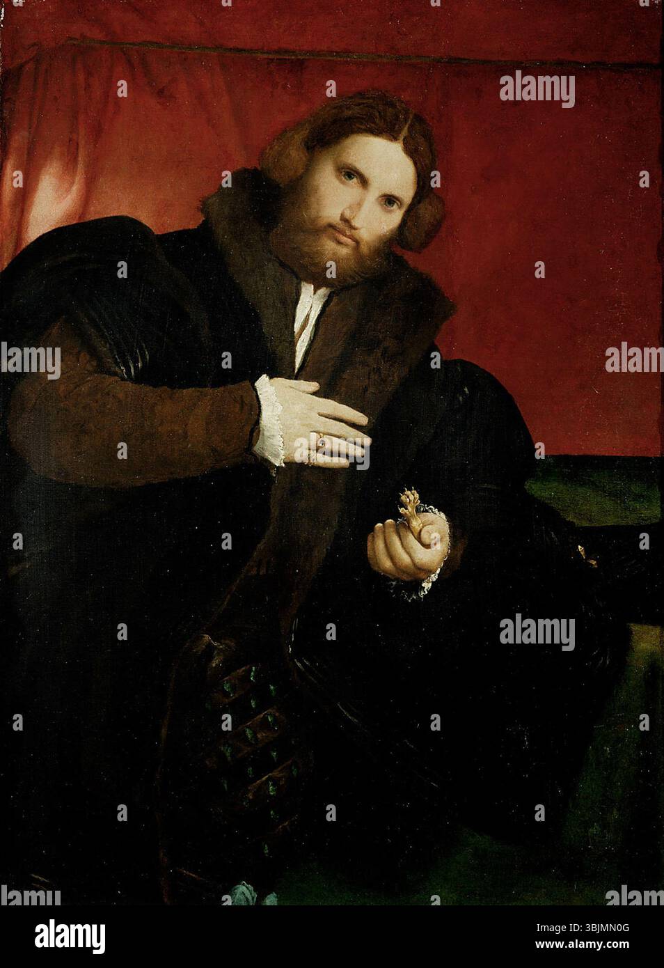 *Porträt eines Gentleman mit einer Löwenpfote* (1520er) von Lorenzo Lotto zeigt einen Adligen mit einer Löwenpfote, die Stärke und Adel symbolisiert. Das Ölgemälde veranschaulicht Lottos Porträtkunst und Symbolismus. Stockfoto