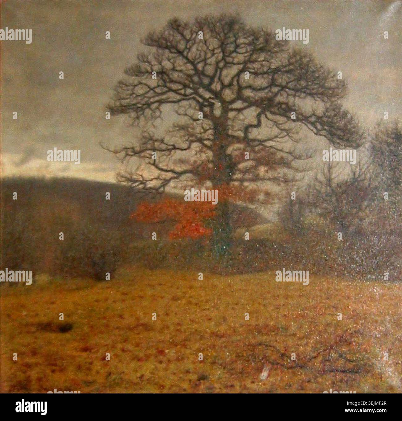 Charles Godtfredsens Landskab med stort egetræ (1914) ist ein Ölgemälde auf Leinwand, das eine weite Landschaft mit einer großen Eiche zeigt. Die Komposition betont die Stärke und Prominenz des Baumes in der natürlichen Umgebung und vermittelt ein Gefühl von Zeitlosigkeit und Verbundenheit mit der Natur. Stockfoto