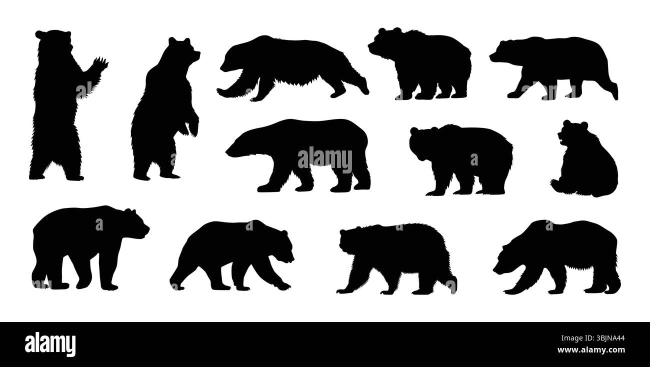 Bär Silhouetten Set, Bär stehend, Gehen, Laufen, sitzend Silhouettenvektor Stock Vektor