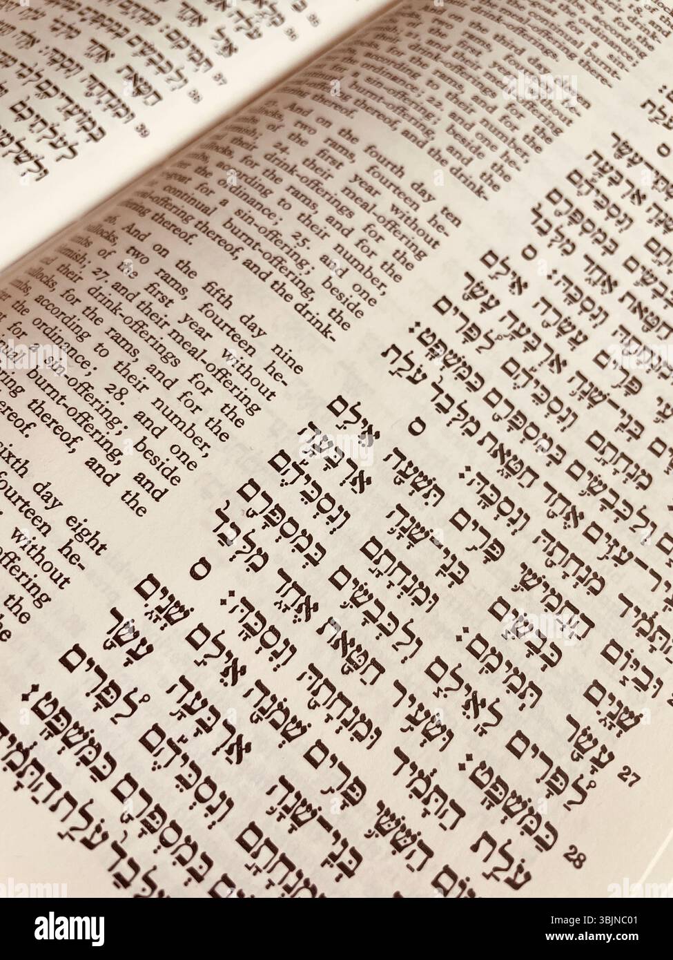 Nahaufnahme des hebräischen und englischen Textes in einer Ausgabe des Soncino Chumash aus dem Jahr 1983 - Smartphone-aufgenommenes Stockfoto