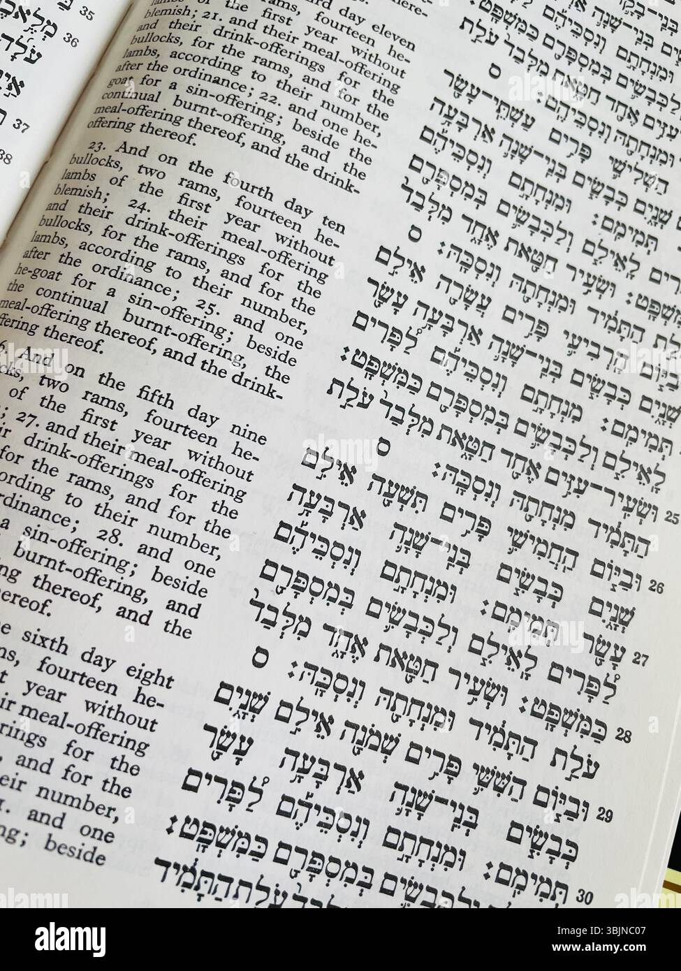 Nahaufnahme des hebräischen und englischen Textes in einer Ausgabe des Soncino Chumash aus dem Jahr 1983 - Smartphone-aufgenommenes Stockfoto