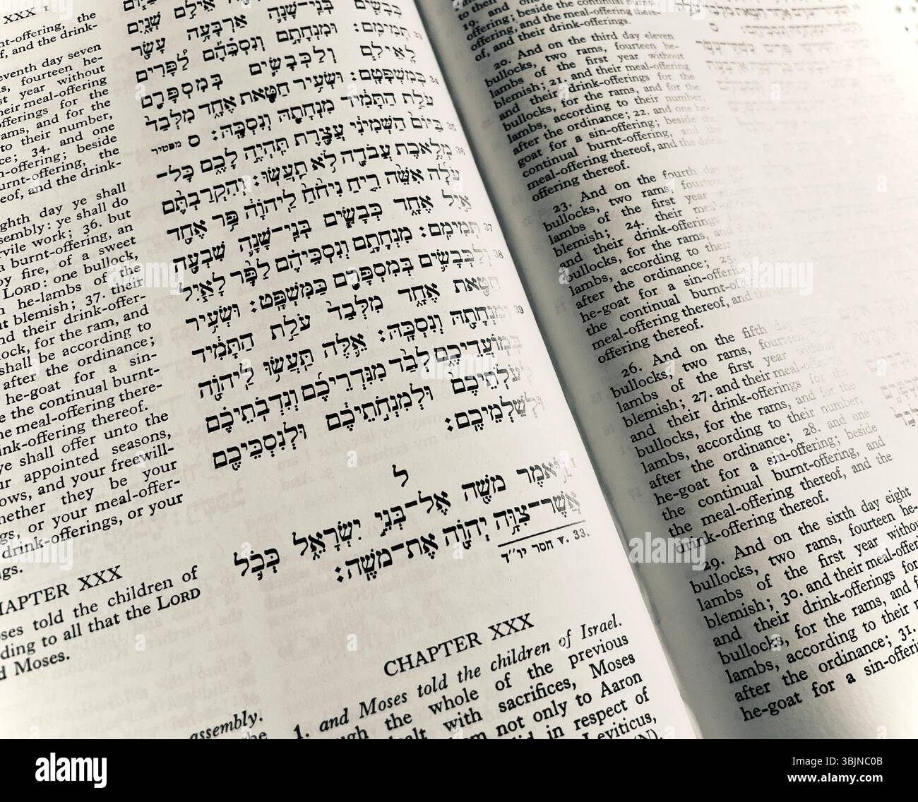 Nahaufnahme des hebräischen und englischen Textes in einer Ausgabe des Soncino Chumash aus dem Jahr 1983 - Smartphone-aufgenommenes Stockfoto