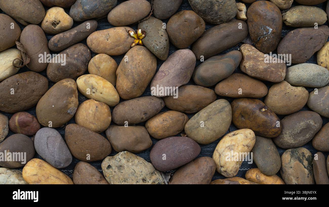 Braune Gartensteine Stockfoto