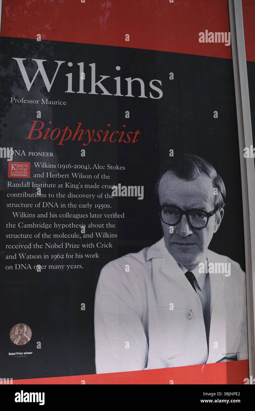 Foto von Professor Maurice Wilkins, Kingsway, Camden, Central London, England, Vereinigtes Königreich. Maurice Hugh Frederick Wilkins CBE FRS Stockfoto