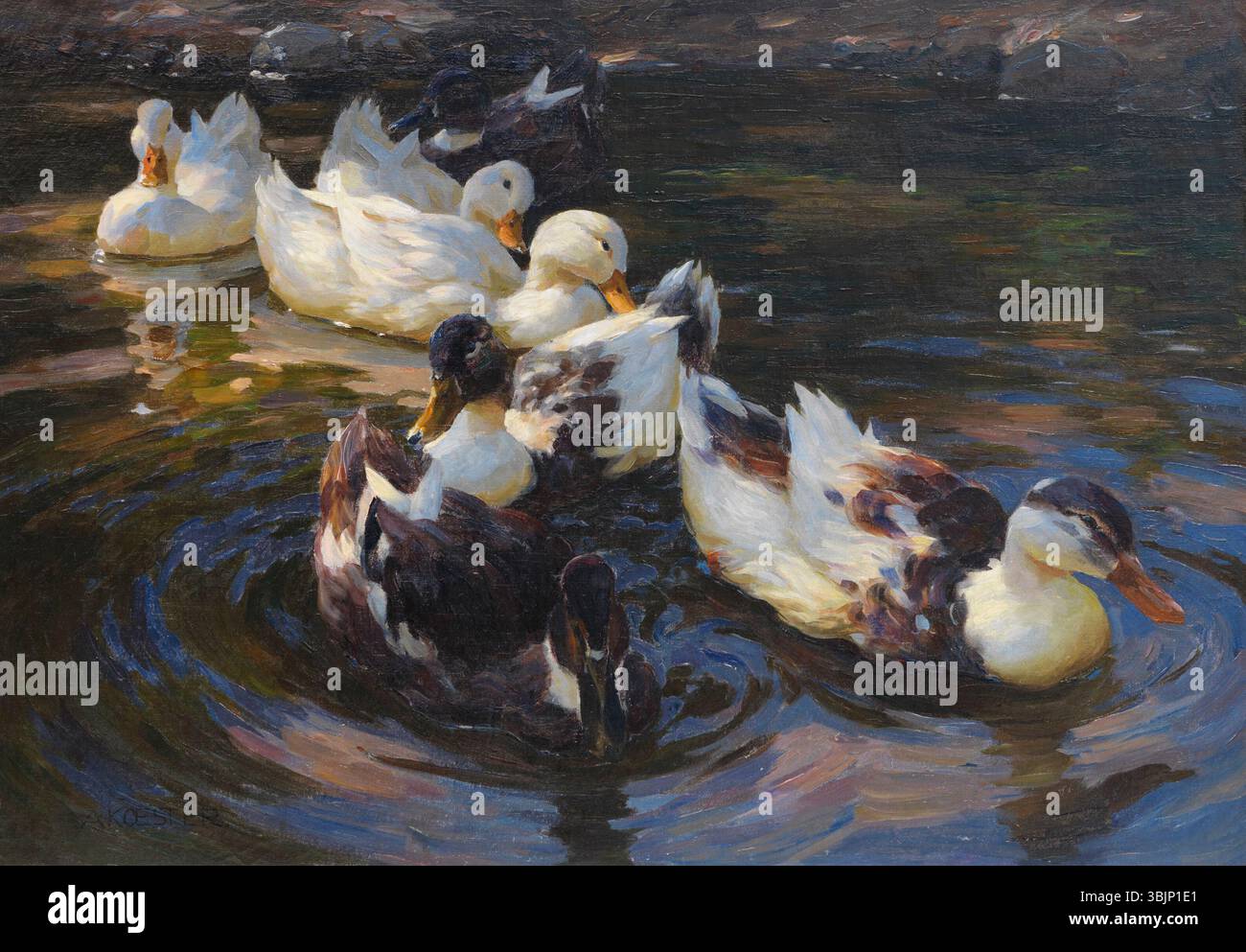 Alexander Koester (1864–1932) malte 1904 „Ducks in Morning Sun“. Das Öl auf Leinwand zeigt Enten, die unter weichem Sonnenlicht über reflektierendes blaues Wasser gleiten. Stockfoto