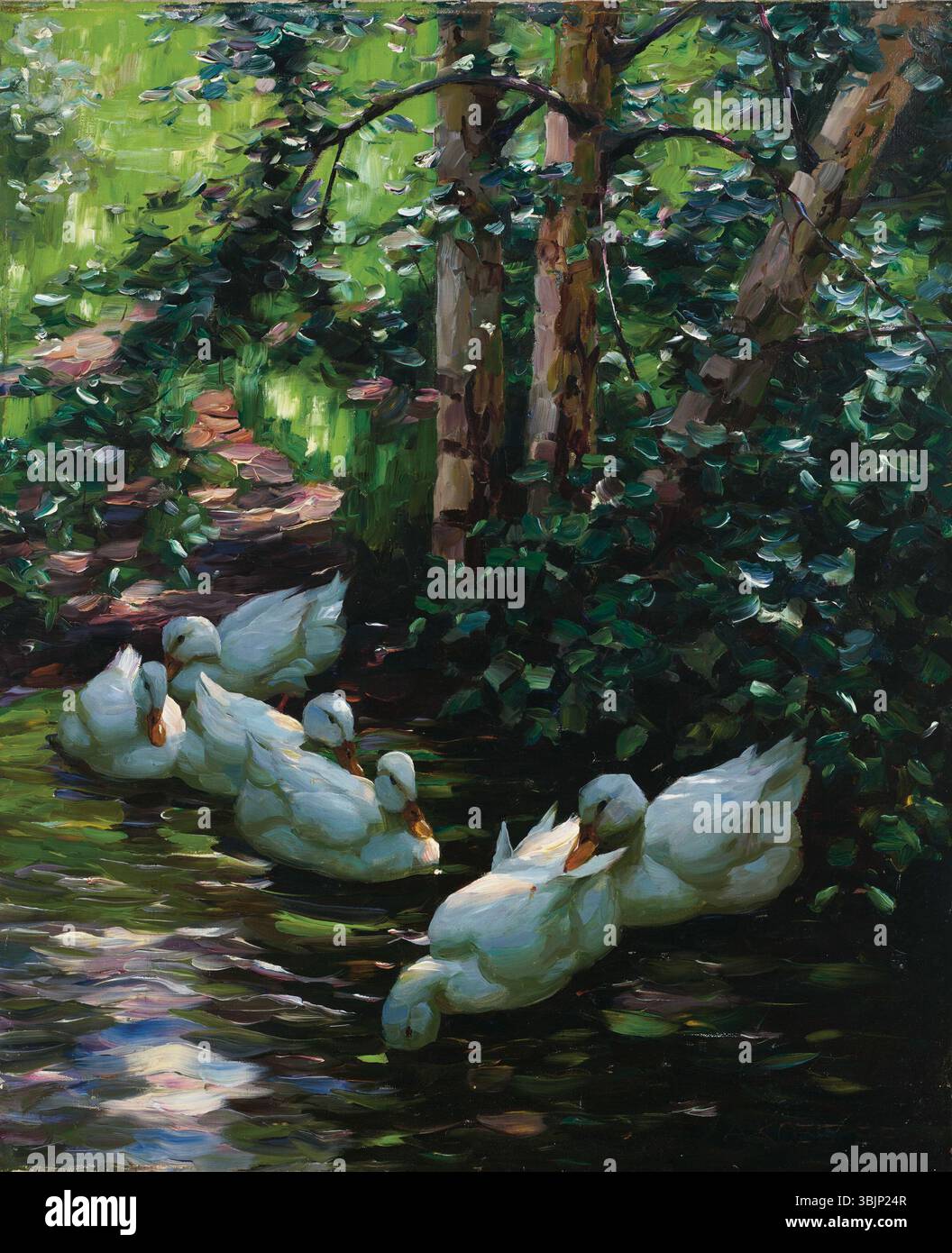 Alexander Max Koesters Gemälde „sechs Enten im Wasser“ von 1900 zeigt sechs Enten, die auf einer ruhigen Wasseroberfläche schwimmen. Das Kunstwerk „Öl auf Leinwand“ ist ein gutes Beispiel für Koesters Fokus auf Natur und Tierwelt, das die ruhigen und realistischen Qualitäten von Vögeln in ihrem Lebensraum einfängt. Stockfoto