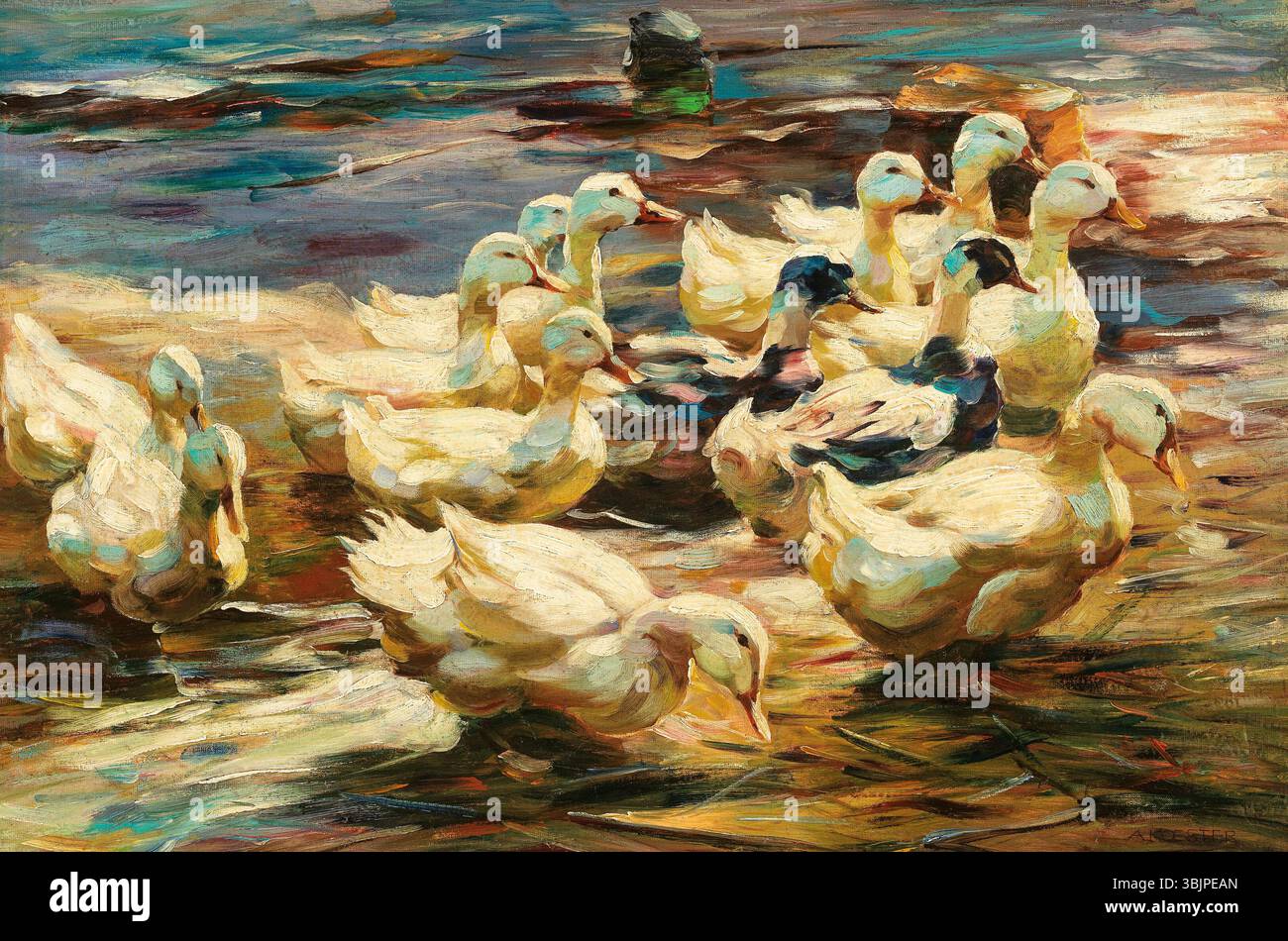„Enten aus dem Wasser gehen“ von Alexander Koester, gemalt vor 1932, zeigt eine Gruppe von Enten, die aus dem Wasser gehen. Dieses signierte Ölgemälde auf Leinwand auf Holztafel, die 60 x 90 cm groß ist, erfasst das natürliche Verhalten der Wildtiere. Stockfoto