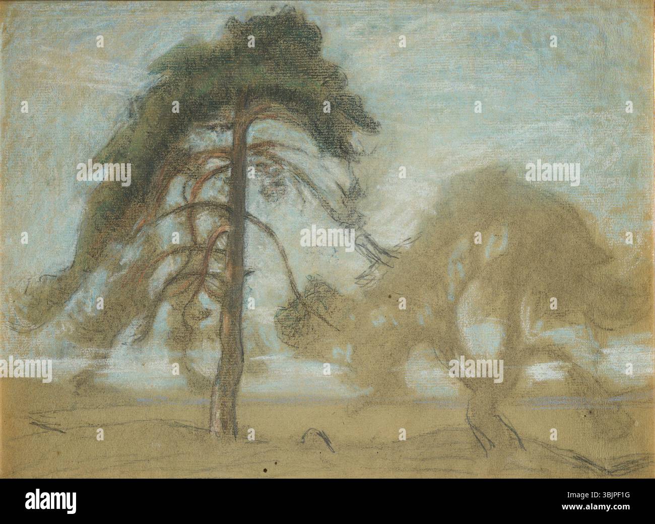 „Pine Trees Tyresö“ von Richard Bergh (1910) stellt eine ruhige natürliche Landschaft dar und zeigt hoch aufragende Kiefern vor dem Hintergrund einer bewaldeten schwedischen Szene, die Berghs Stil, Naturalismus mit atmosphärischem Licht zu verbinden, veranschaulicht. Stockfoto