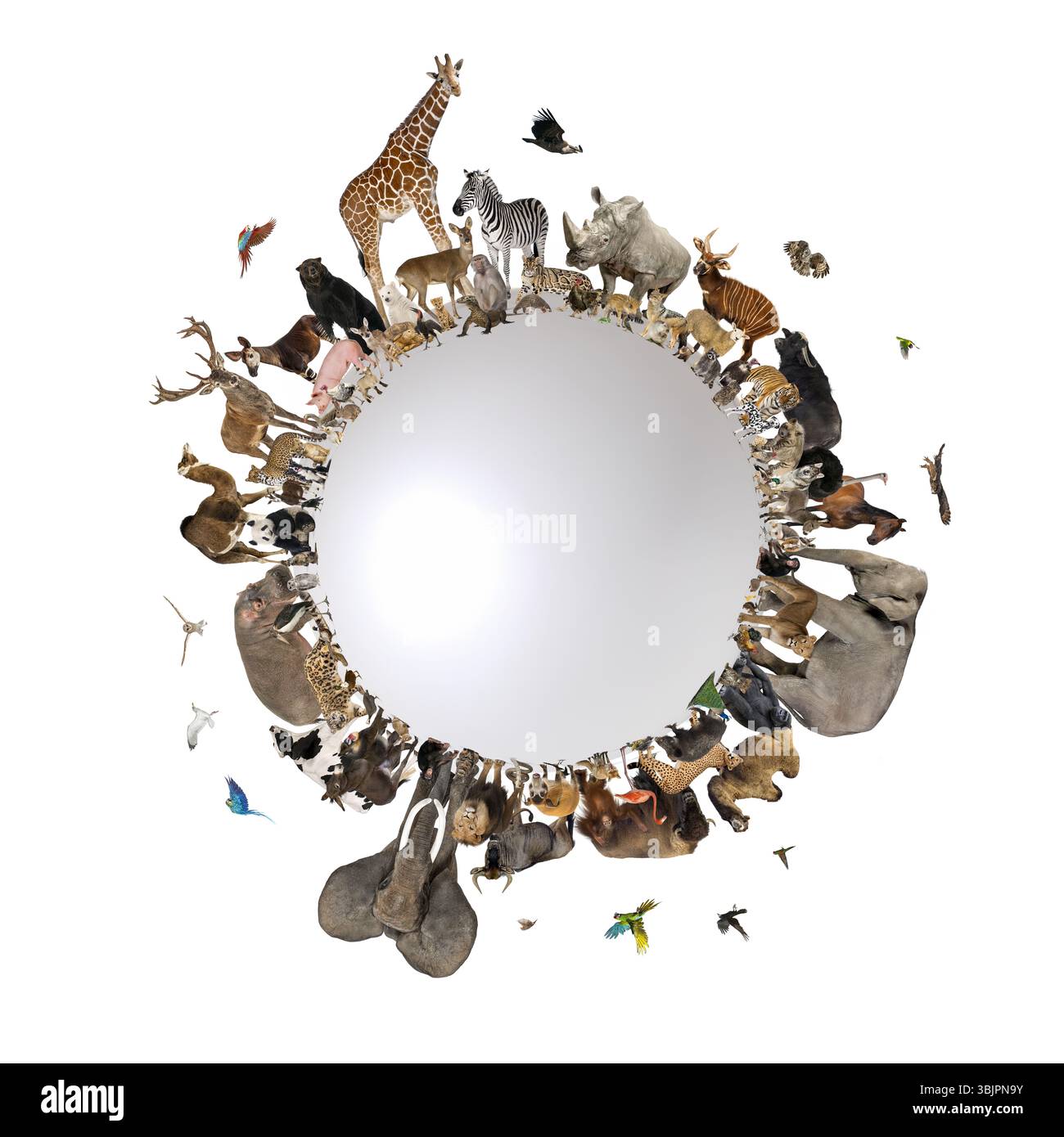 Viele Wildtiere rund um den Planeten Erde Globus stehen für den Schutz der Tierwelt und den Umweltschutz Stockfoto