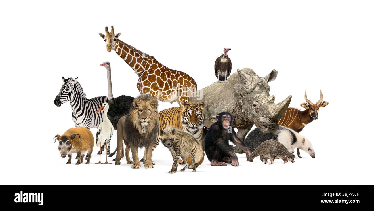 Vielfältige Gruppe wilder Zootiere, darunter Säugetiere, Vögel und Reptilien, die zusammen stehen und die Biodiversität und den Schutz der Tierwelt zeigen Stockfoto