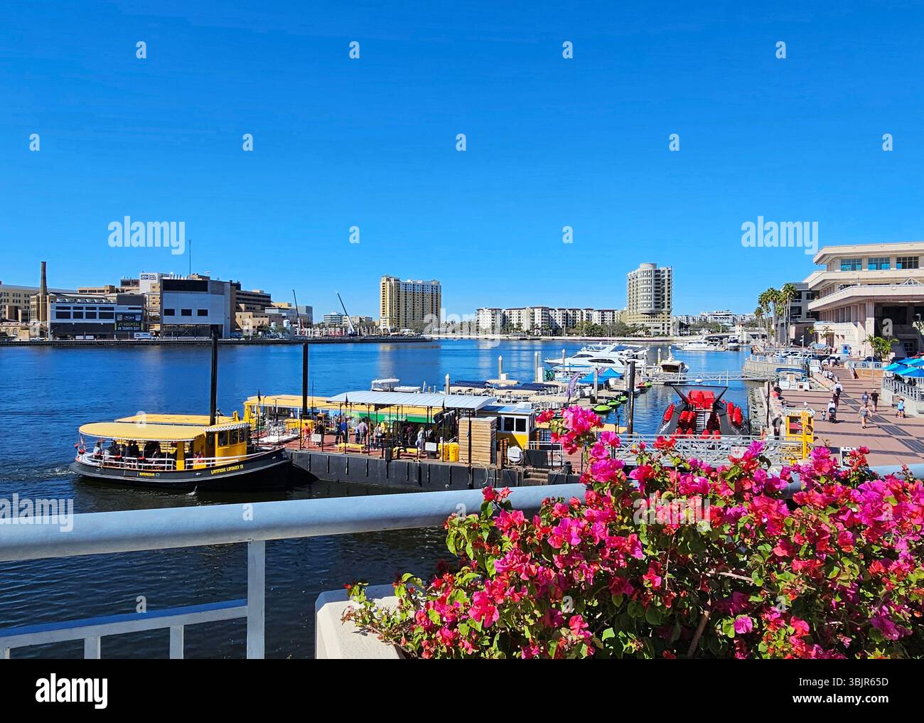 Tampa Uferpromenade, Florida. Touristenboote und private Yachten legen an der Uferpromenade in der Innenstadt von Tampa an. - Smartphone-aufgenommenes Stockfoto