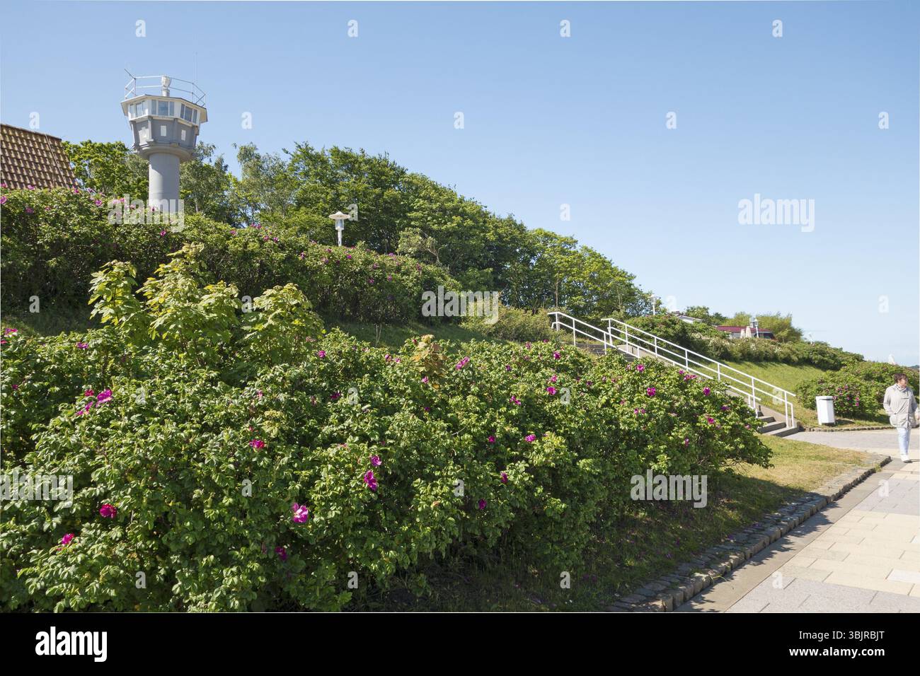 Grenzaussichtsturm, Ostseeallee, Kühlunsborn Ost, Ostsee, Ostseebad, Kuehlungsborn, Landkreis Rostock, Mecklenburg-Vorpommern Stockfoto