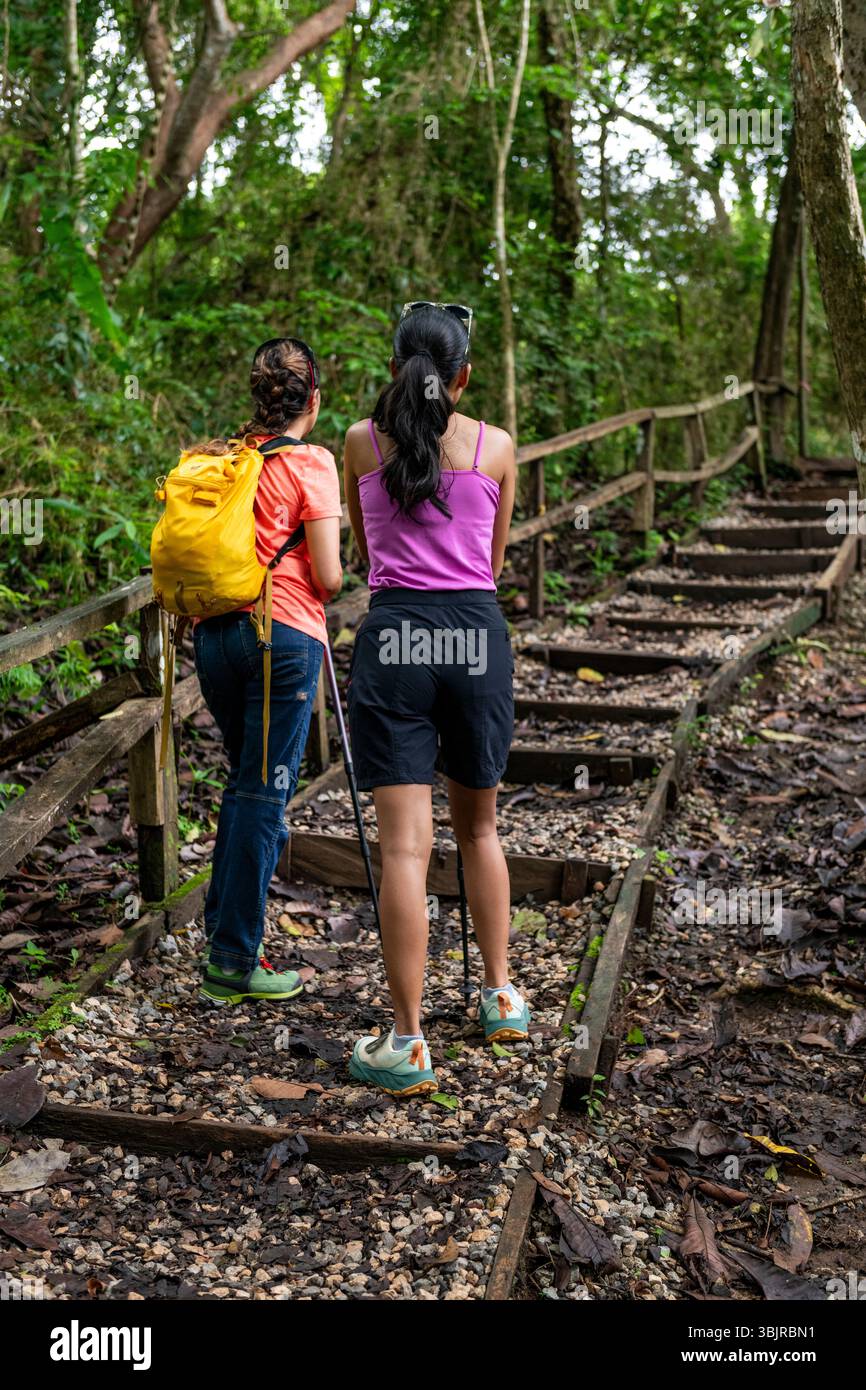 Trekking mit zwei Frauen im tropischen Regenwald, Metropolitan Natural Park, Panama City, Panama - Stockfoto Stockfoto
