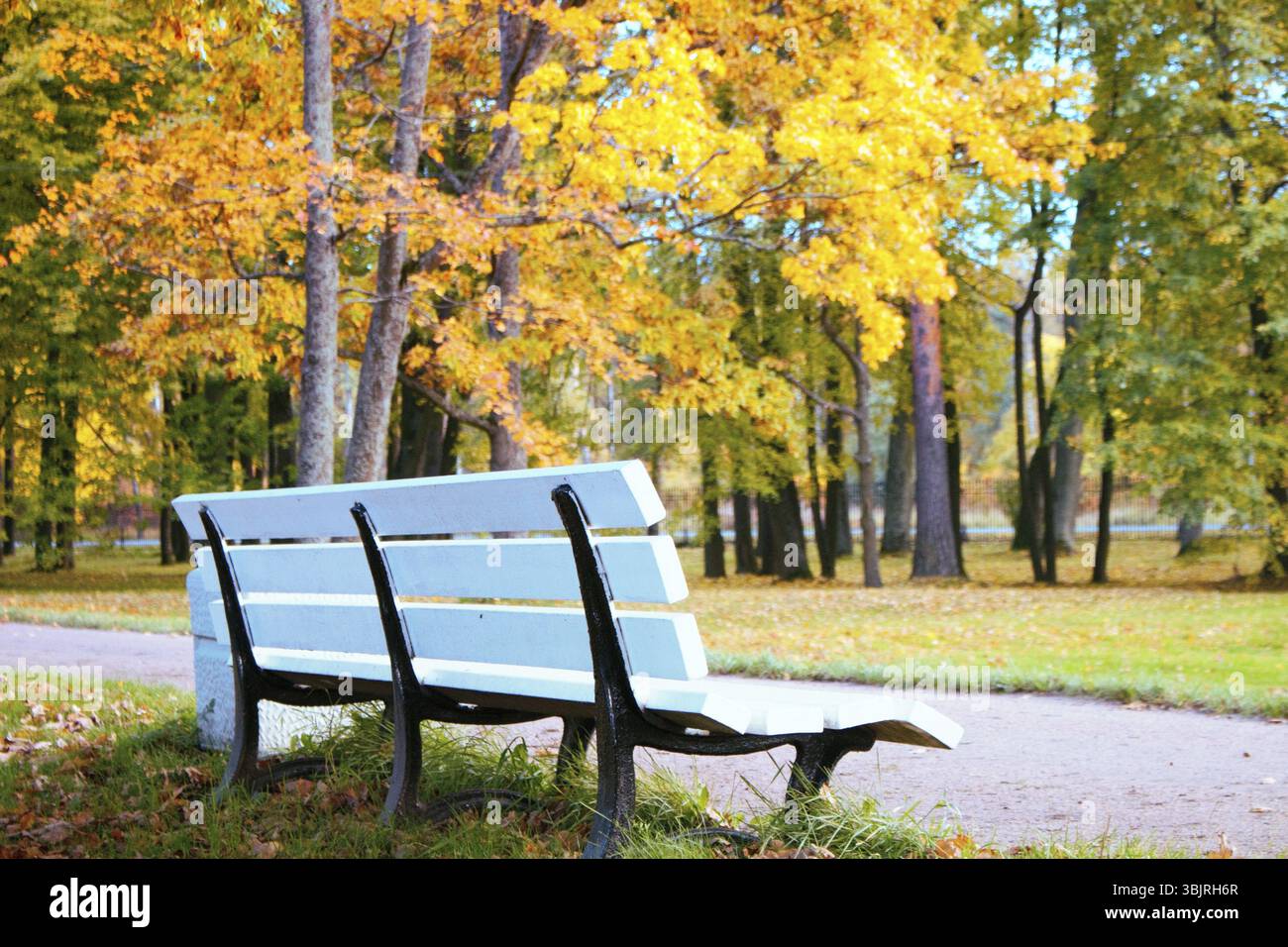 Bänke zum Ausruhen im Herbstpark. Genießen Sie die Schönheit des Herbstes bei gutem Wetter Stockfoto