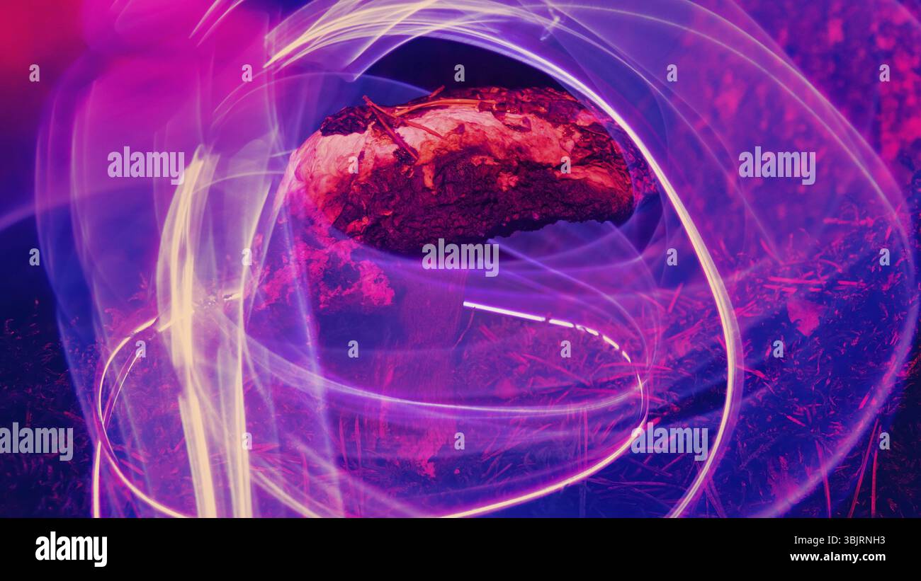 Neon Art. Pilze und Pflanzen von inertem Gas beleuchtet. Paradoxe Dinge und Farben Farben von jungen Menschen Stockfoto