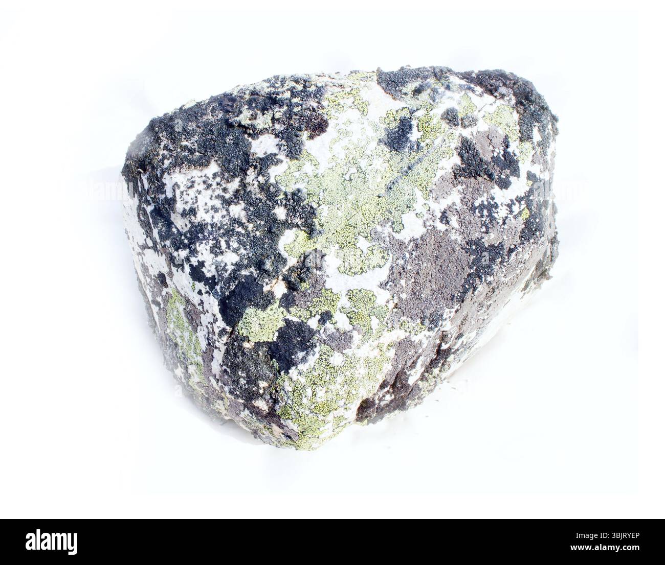 Stein aus der Bergtundra auf weißem Hintergrund Stockfoto