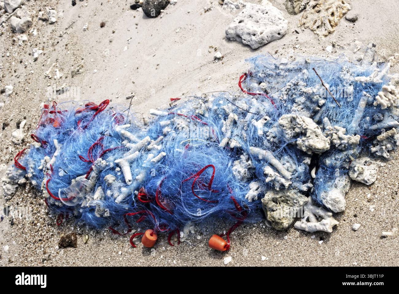 Das Fischernetz wird von Wilderern an Land aufgegeben. Günstige (Einweg-)Netze verschmutzen Gewässer und töten viele Fische Stockfoto Das Fischernetz wird von Wilderern an Land aufgegeben. Günstige (Einweg-)Netze verschmutzen Gewässer und töten viele Fische Stockfoto