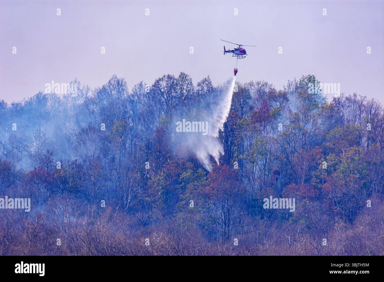 Hubschrauber, der Wasser auf ein Waldfeuer in rauem Gelände wirft Stockfoto