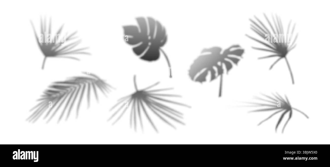 Tropische Palmenschatten-Set mit realistischen Blattsilhouetten – Monstera- und Fächerformen schaffen natürliche Farbmuster für minimalistische Design-Hintergründe, Fotoeffekte oder Sommerpräsentationen Stock Vektor