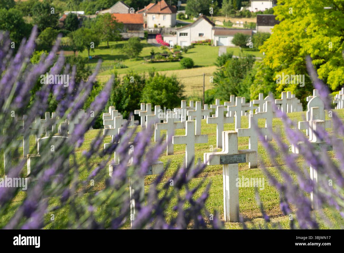 Craonnelle (Nordfrankreich): Französischer Militärfriedhof der Necropolis von Craonnelle, auf dem die Leichen von Soldaten aufbewahrt werden, die für Franc gestorben sind Stockfoto