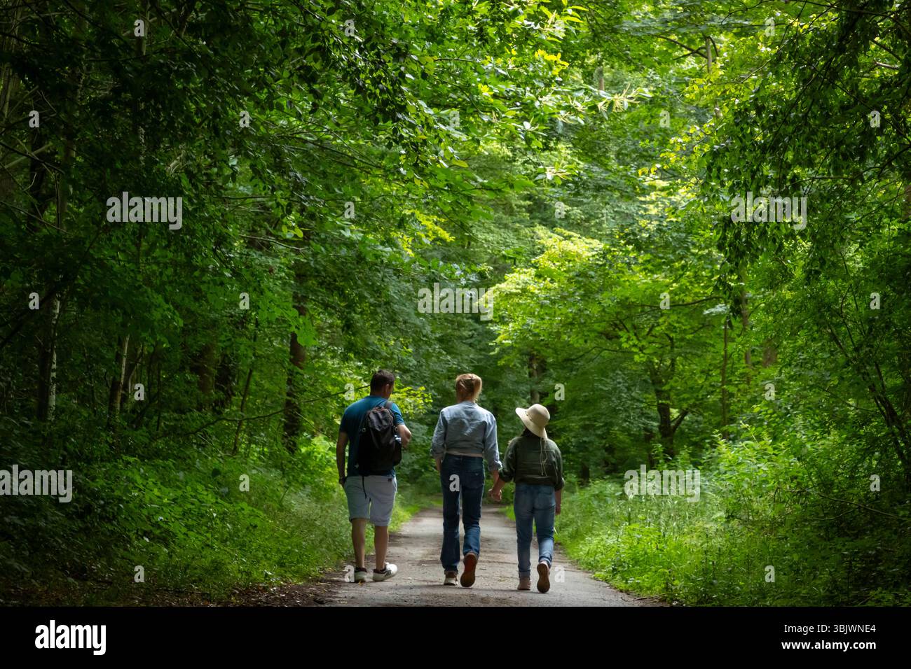La-Neuville-en-Hez (Nordfrankreich): Öffentlicher Wald von Hez-Froidmont mit Eichen- und Buchenbäumen. Familienspaziergang auf einem Waldweg in üppigem Grün Stockfoto