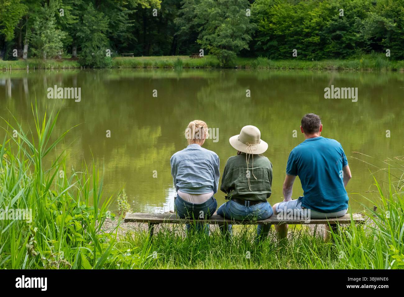 La-Neuville-en-Hez (Nordfrankreich): Öffentlicher Wald von Hez-Froidmont mit Eichen- und Buchenbäumen. Drei Personen von hinten gesehen, Eltern und Kind sitzen Stockfoto