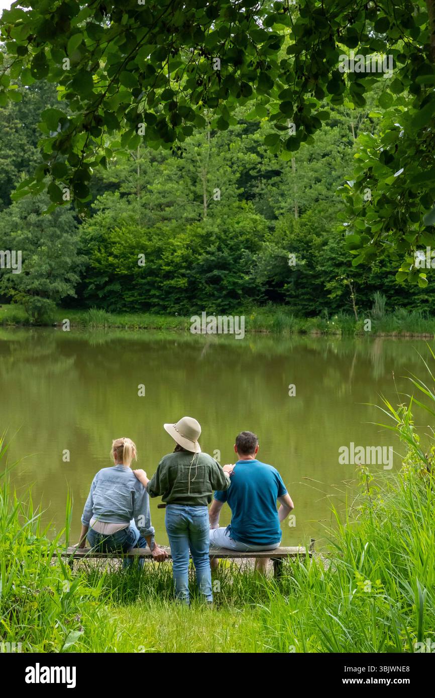 La-Neuville-en-Hez (Nordfrankreich): Öffentlicher Wald von Hez-Froidmont mit Eichen- und Buchenbäumen. Drei Leute von hinten gesehen, Eltern sitzen auf einem Stockfoto