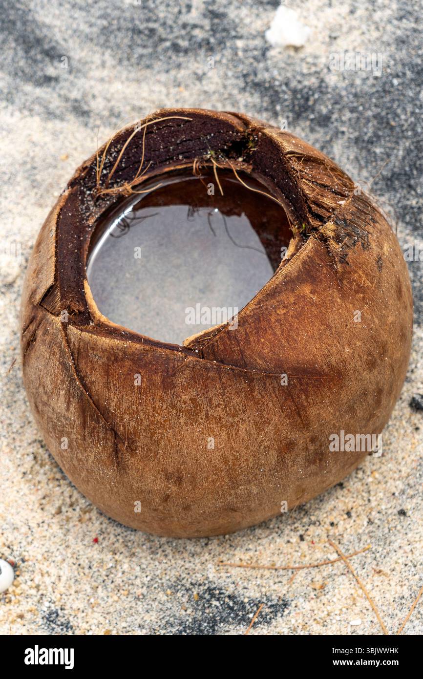 Die Kokosnussschale sitzt auf dem Boden, ein kleines Stück davon fehlt. Das Gehäuse hat Risse und ein Loch, wodurch es einen abgenutzten und verwitterten ap erhält Stockfoto