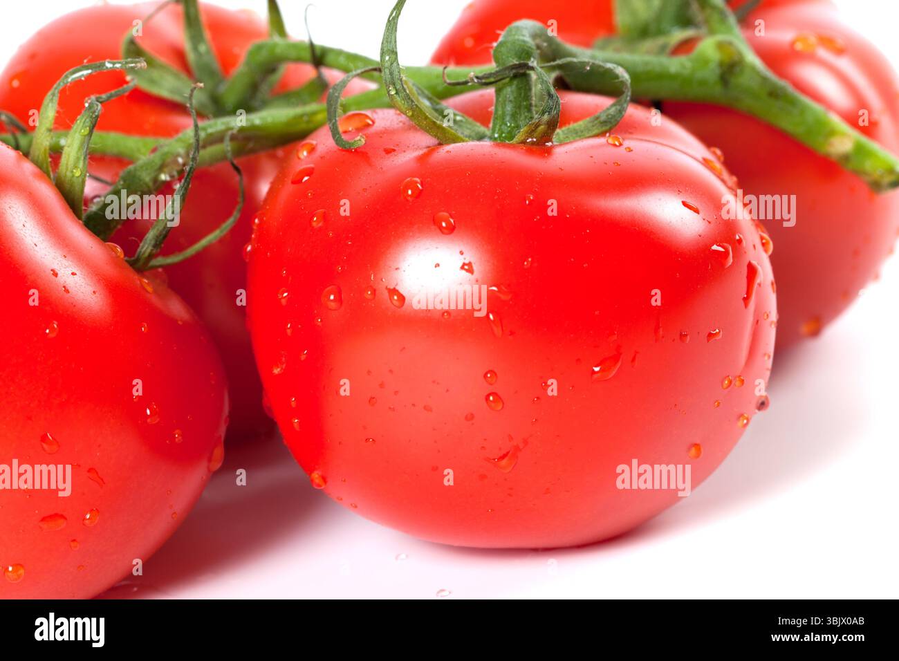Reife Tomate mit Wassertropfen auf weißem Hintergrund Stockfoto