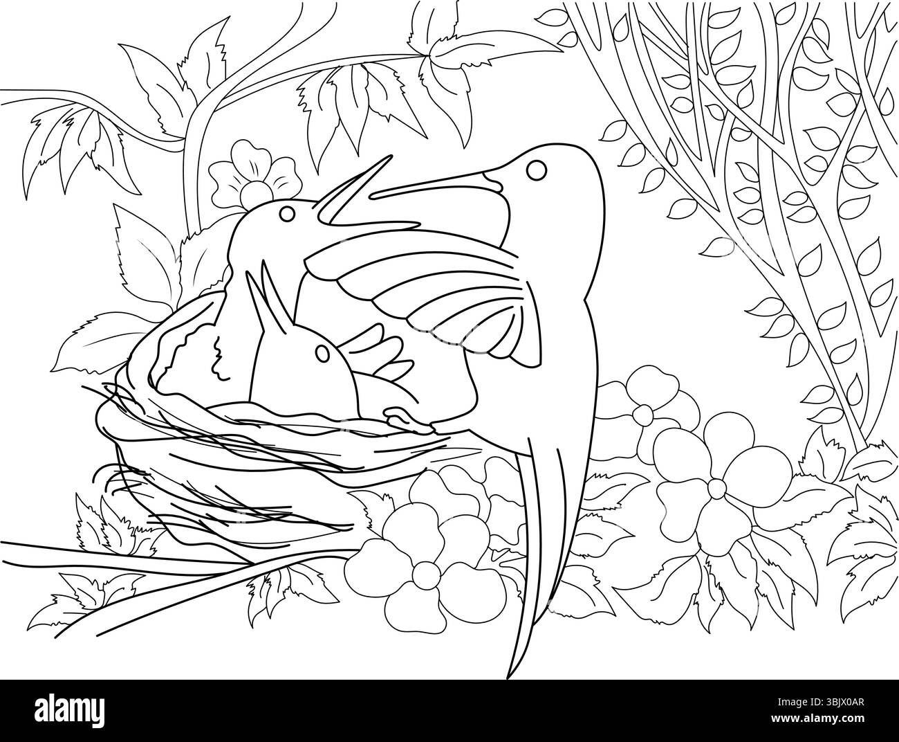 Schwarz-weiße Linienzeichnung eines Kolibris, der seine beiden Babys in einem Nest füttert, umgeben von Blättern, Zweigen und Blumen. Umriss Illustration Anzug Stock Vektor