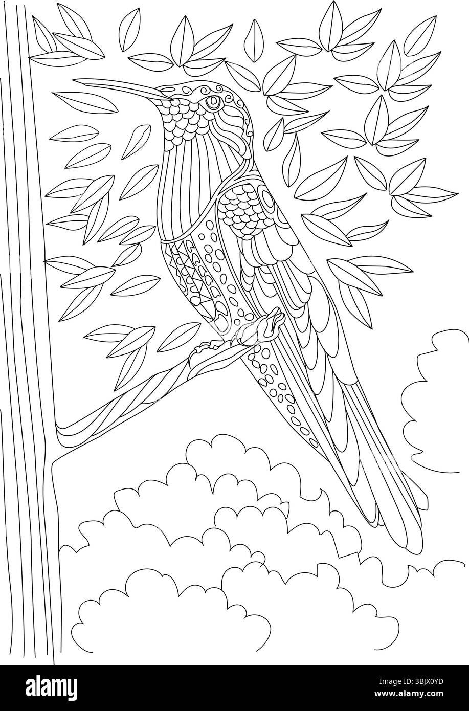 Schwarz-weiße Strichgrafik-Illustration eines Kolibri auf einem Zweig, mit komplizierten Mustern und dekorativen Details, perfekt für Erwachsene Stock Vektor