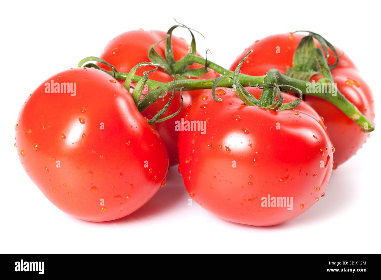 Ein Haufen reifer Tomaten mit Wassertropfen Stockfoto
