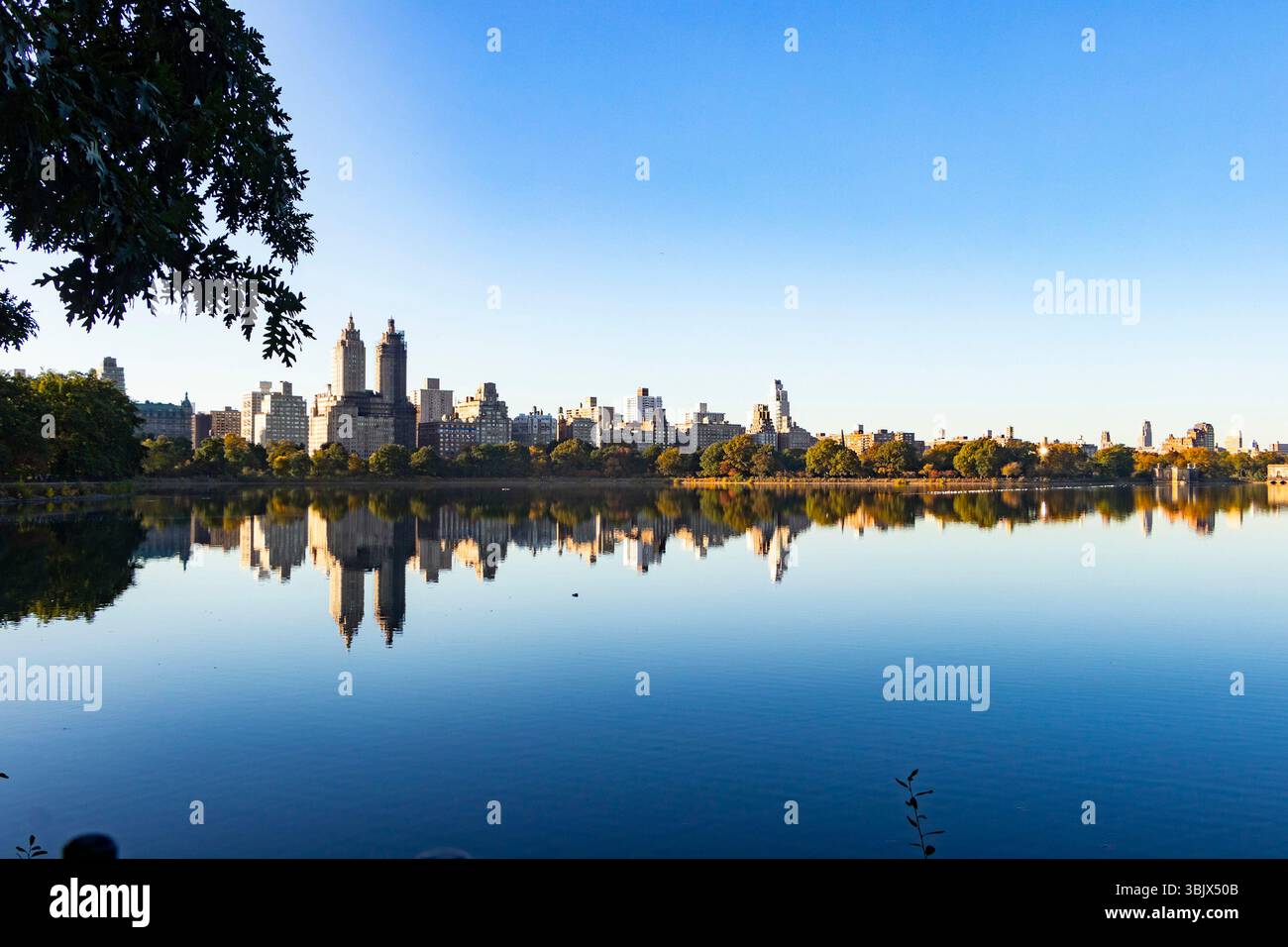 Die Skyline von New York City spiegelt sich auf dem See des Central Park Reservoir unter klarem blauem Himmel mit Bäumen um das Wasser herum - Konzept Symmetrie Reflexion Stockfoto