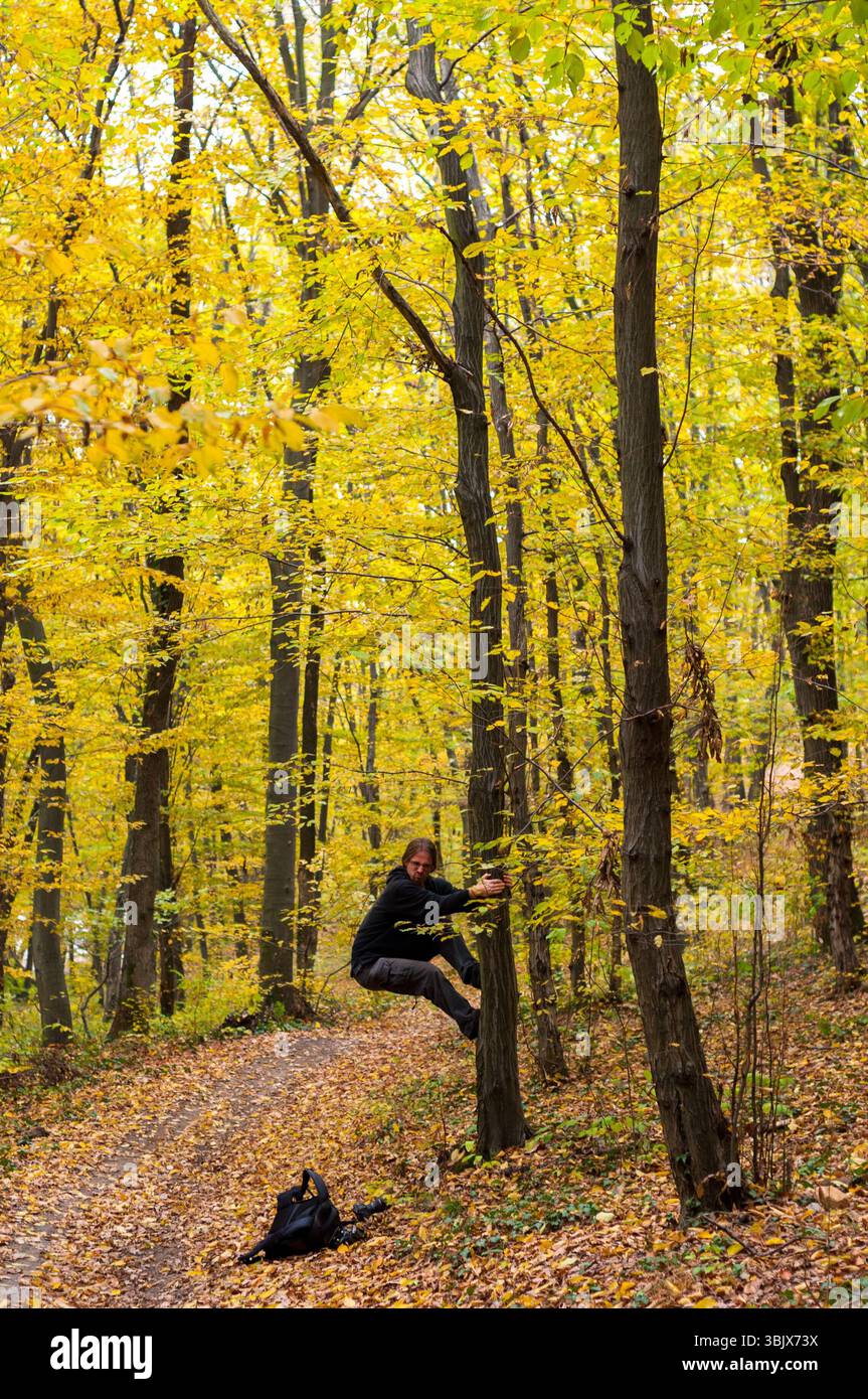 Herbstfoto in einem Wald in warmen Farben Stockfoto