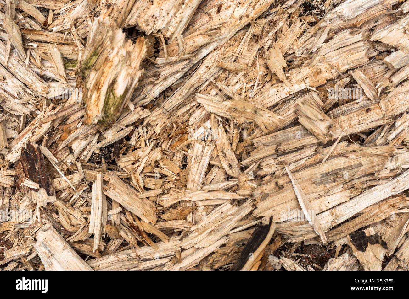 Nahaufnahme von beschädigten Holzhintergrund Stockfoto