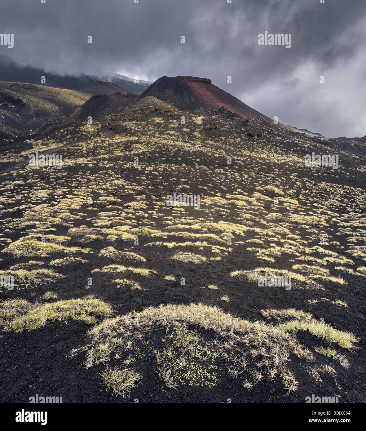 Üppiges Grün steht im Ätna Park im Kontrast zu dunklem vulkanischem Boden, während sich stürmische Wolken sammeln und eine dramatische Szene in Sizilien, Italien, schaffen Stockfoto
