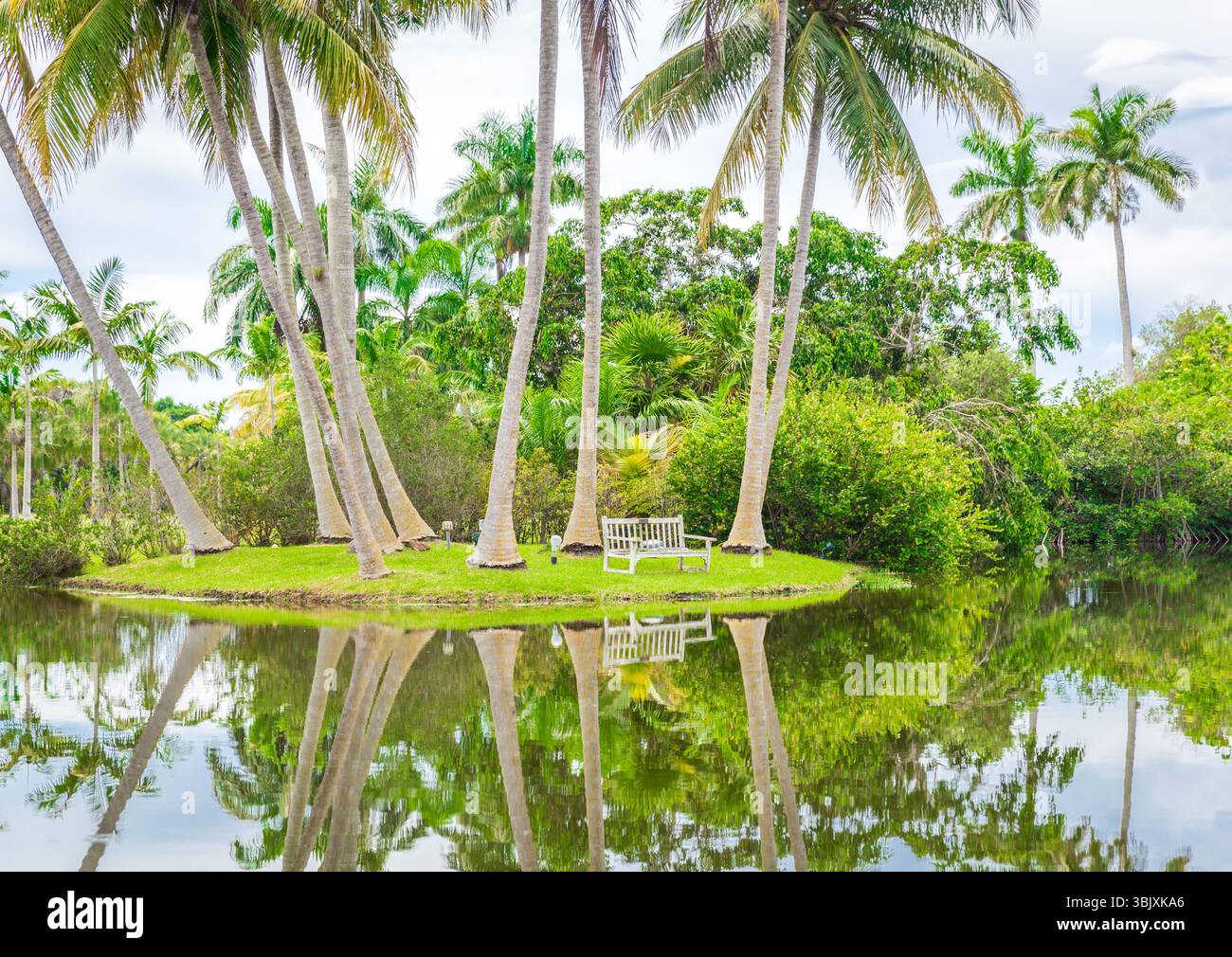 Schönen park mit tropischen Natur und Palmen Stockfoto