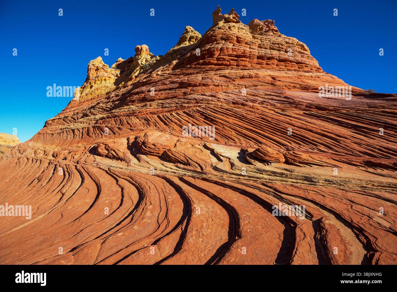 Die Escalante-Wüste ist eine Wüstenebene im Südwesten des US-Bundesstaates Utah. Er ist bekannt für seine bizarre Sandsteinformation Stockfoto