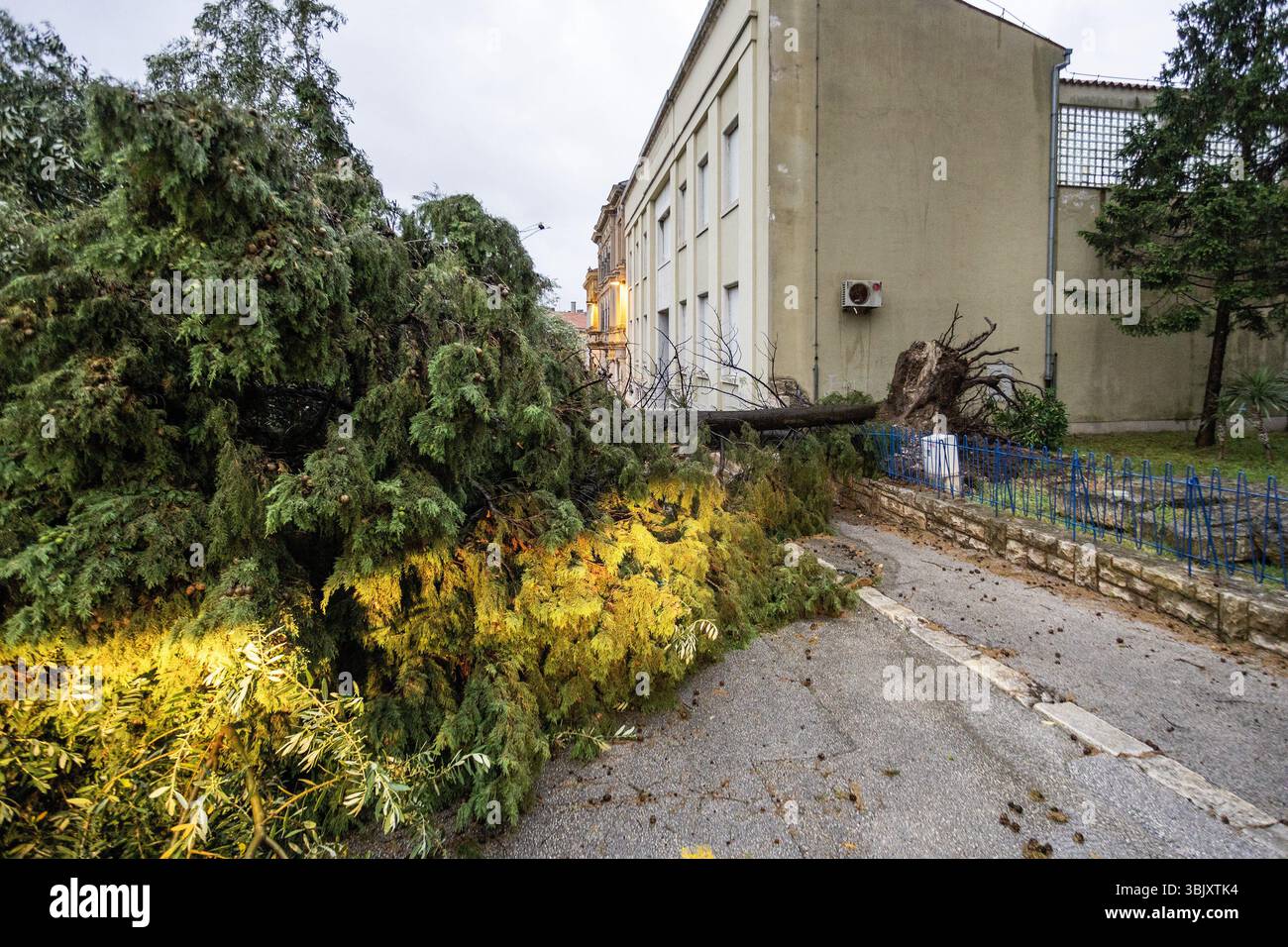 (250617) -- PULA, 17. Juni 2025 (Xinhua) -- dieses Foto zeigt die Folgen eines starken Sturms, der Pula, Kroatien, am 17. Juni 2025 traf. (Srecko Niketic/PIXSELL Via Xinhua) Stockfoto