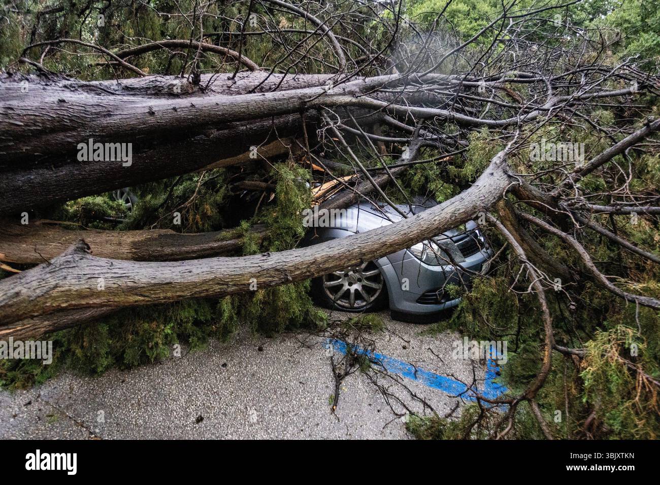 (250617) -- PULA, 17. Juni 2025 (Xinhua) -- dieses Foto zeigt die Folgen eines starken Sturms, der Pula, Kroatien, am 17. Juni 2025 traf. (Srecko Niketic/PIXSELL Via Xinhua) Stockfoto