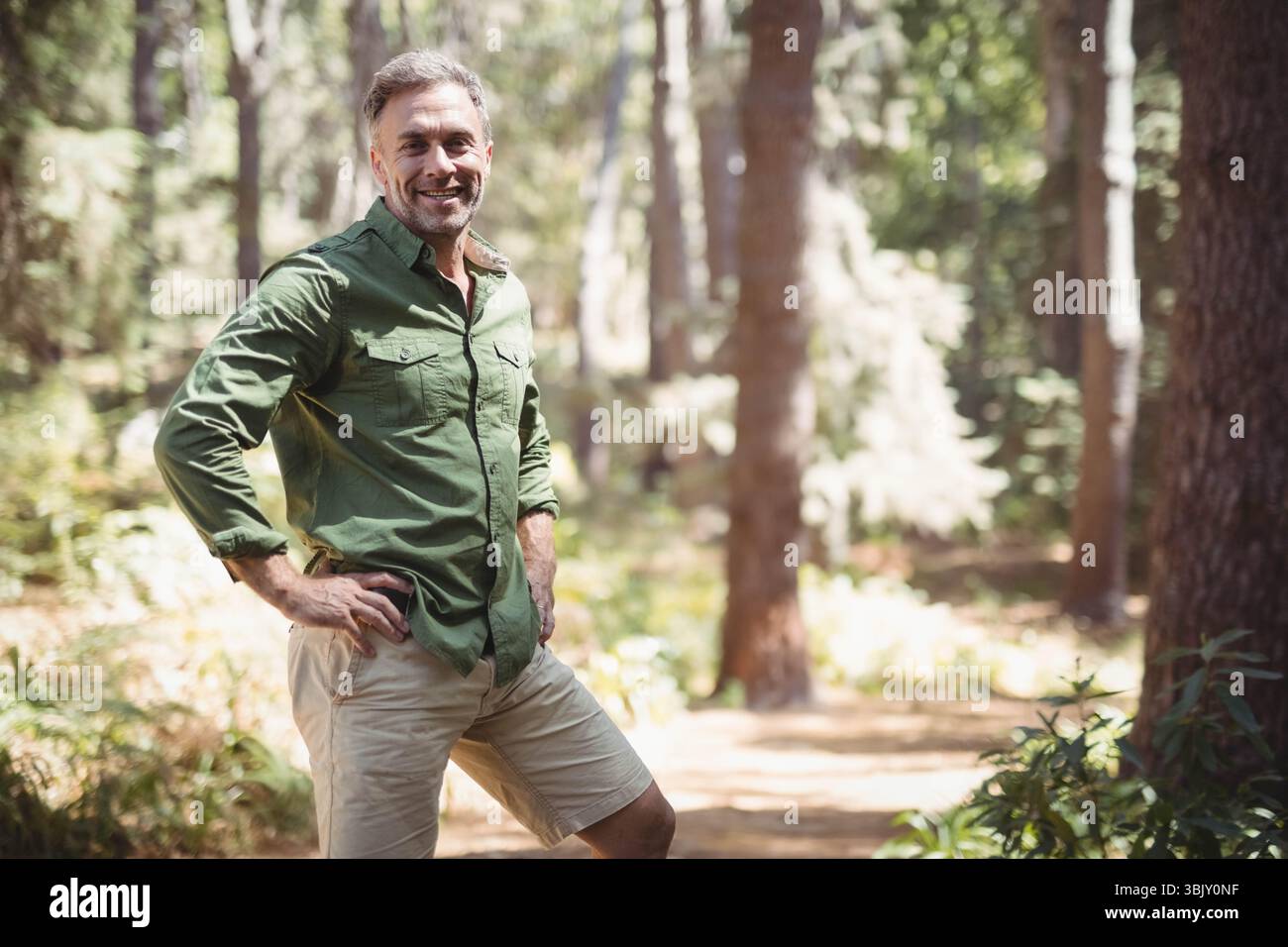 Schotterpfad, der sich durch dichten Kiefernwald schlängelt, mit Sonnenlicht, das durch hohe Bäume gefiltert wird Stockfoto