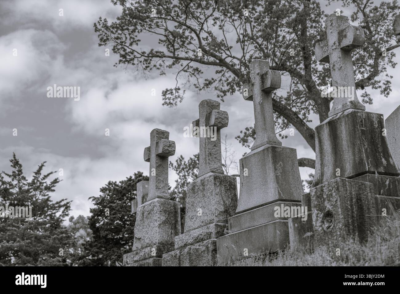 Foto des alten Friedhofs, Steingrabmarkierungen mit Kreuzen, verwitterte Grabsteine, große Bäume, dramatischer Himmel, friedliche historische Grabstätte Stockfoto