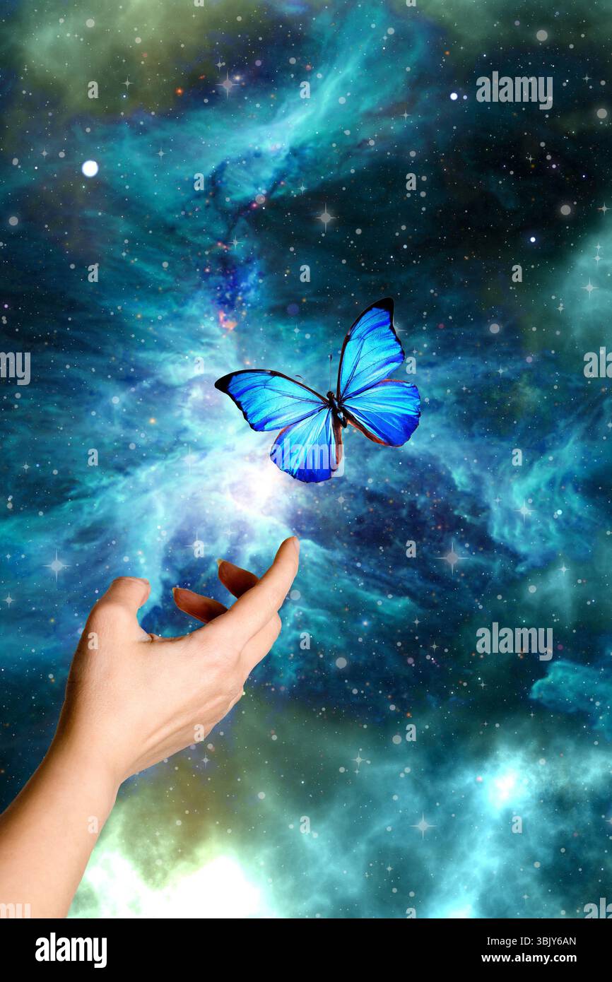 Frauenhand und blauer Schmetterling Stockfoto