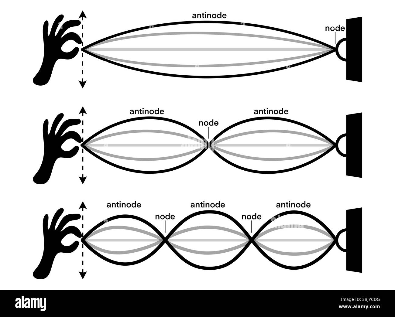 Pädagogische Darstellung von stehenden Wellen auf einer an einem Ende fixierten Saite, die verschiedene harmonische Modi mit markierten Knoten und Antinoden zeigt. Ideal für Stockfoto