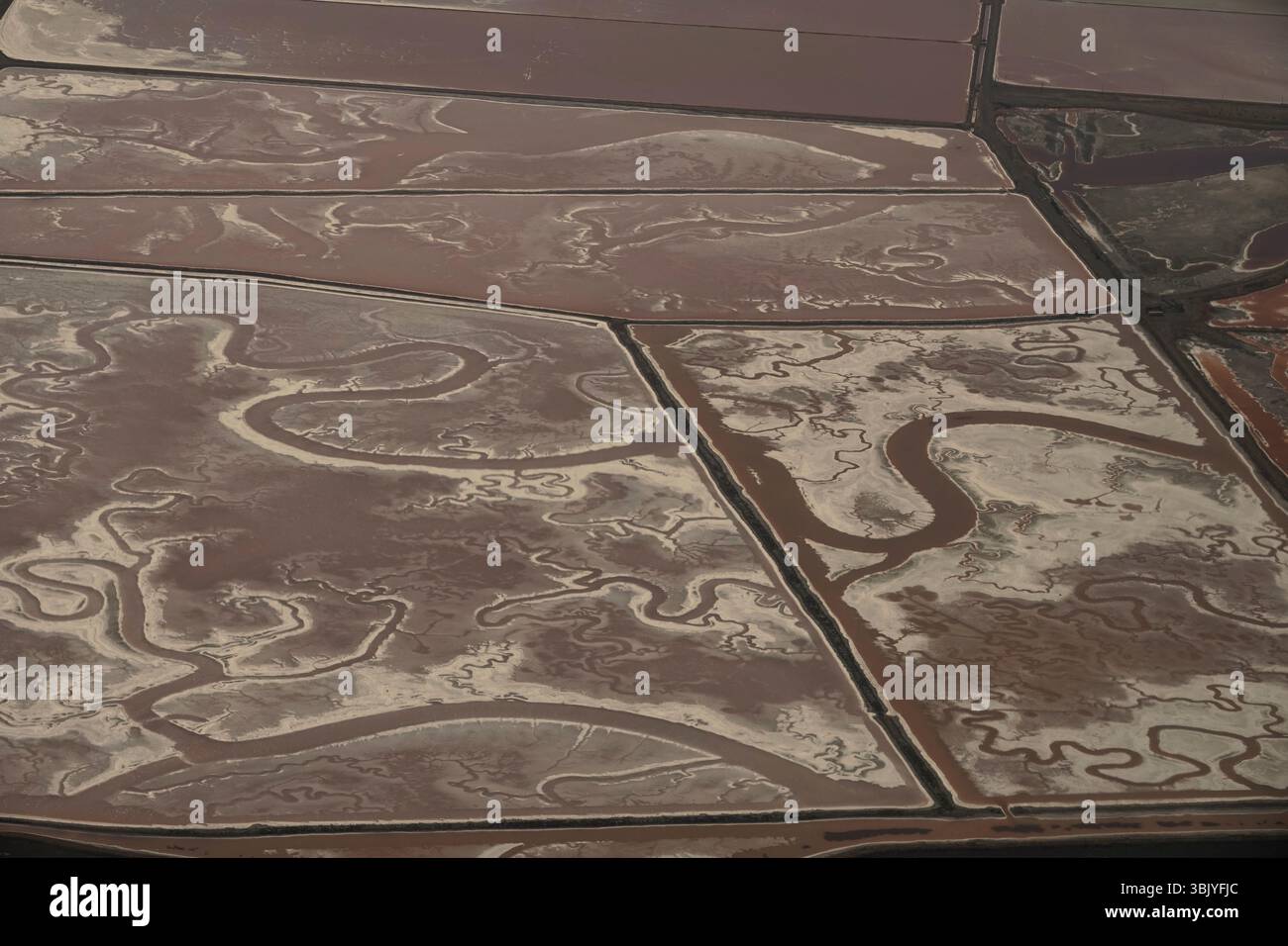 Mai 2025 Kalifornien, USA. Landgewinnung in der Nähe von Redwood Shores in der Bucht Gegend von San Francisco, Kalifornien, USA Stockfoto