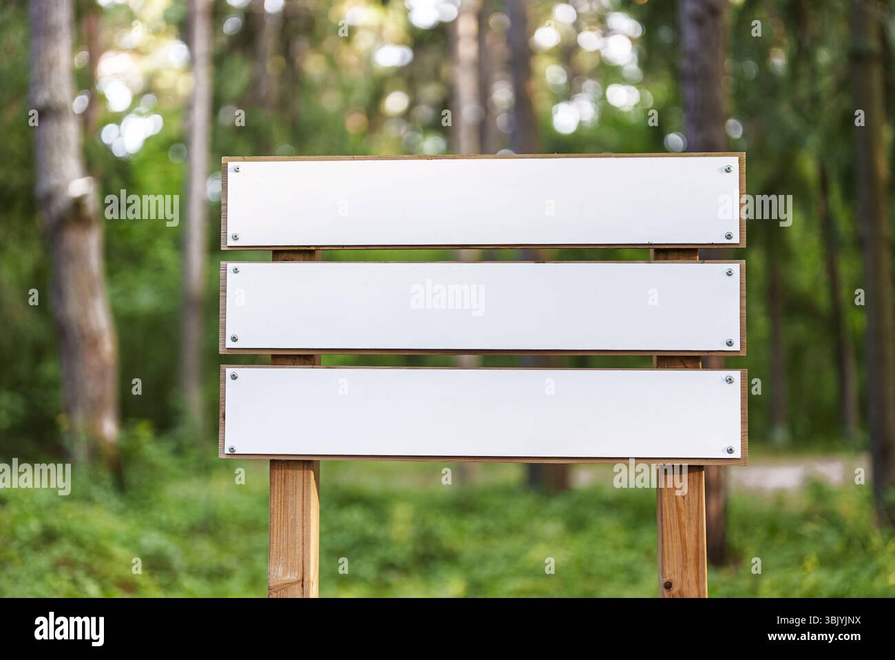 Blanke Wegweiser im Sommerwald. Ort für Ihren Text. Stockfoto