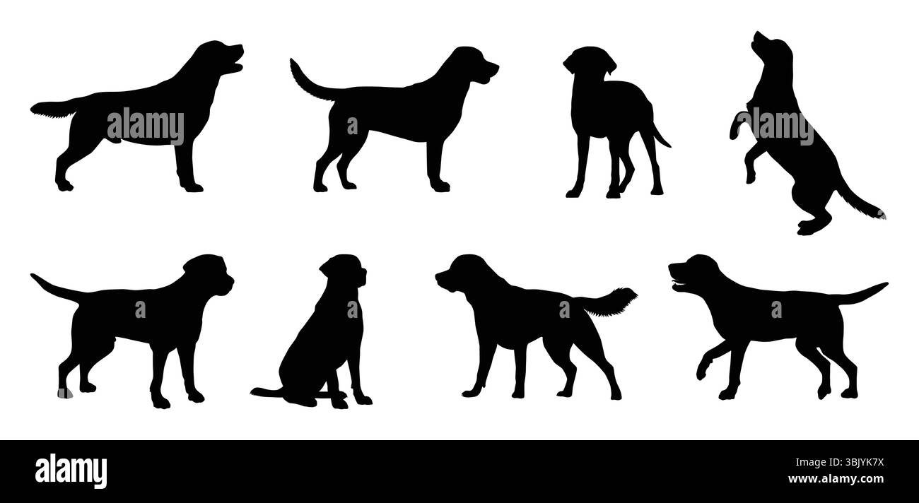 Labrador Retriever Hund Silhouetten Vektor Set. Stock Vektor